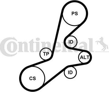 CONTINENTAL 6PK1352K1 - Set curea transmisie cu caneluri allinparts.ro