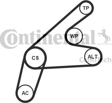 CONTINENTAL 6PK1306K3 - Set curea transmisie cu caneluri allinparts.ro