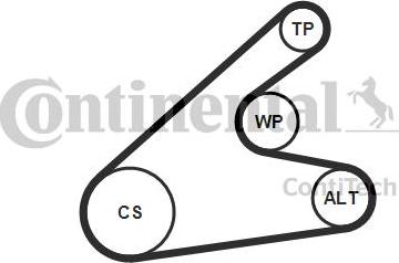 CONTINENTAL 6PK1306K2 - Set curea transmisie cu caneluri allinparts.ro