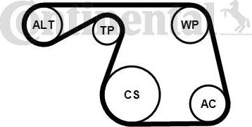 CONTINENTAL 6PK1310K1 - Set curea transmisie cu caneluri - allinparts.ro