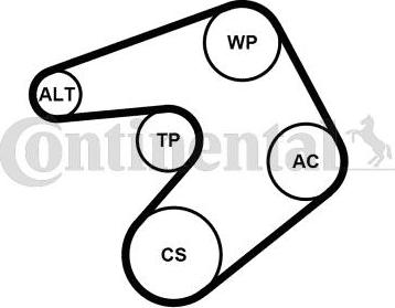 CONTINENTAL 6PK1205K1 - Set curea transmisie cu caneluri - allinparts.ro