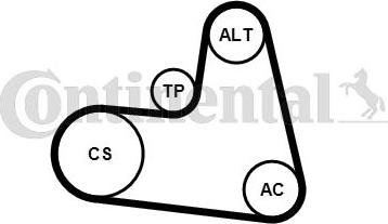 CONTINENTAL 6PK1217K1 - Set curea transmisie cu caneluri allinparts.ro