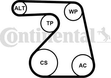 CONTINENTAL 6PK1217K2 - Set curea transmisie cu caneluri allinparts.ro