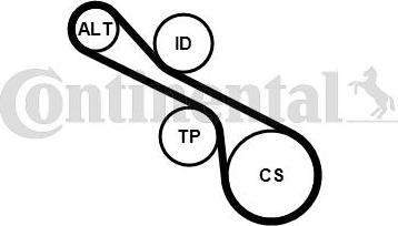 CONTINENTAL 6PK1230K1 - Set curea transmisie cu caneluri allinparts.ro