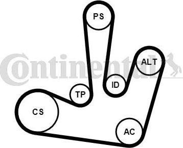 CONTINENTAL 6PK1795K1 - Set curea transmisie cu caneluri - allinparts.ro