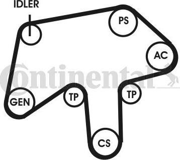 CONTINENTAL 6PK1760D1 - Set curea transmisie cu caneluri - allinparts.ro