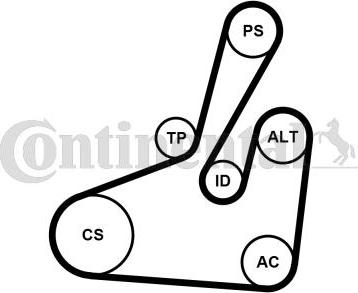 CONTINENTAL 6PK1710K2 - Set curea transmisie cu caneluri - allinparts.ro