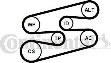 CONTINENTAL 6PK1780WP1 - Pompa apa + Set curea transmisie cu caneluri - allinparts.ro