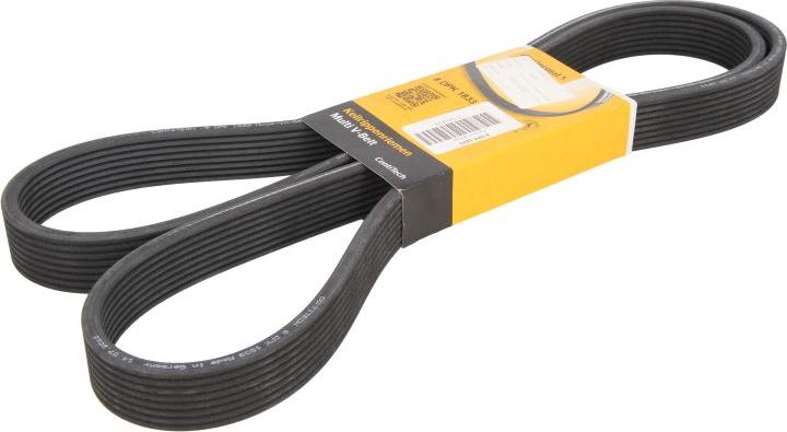 CONTINENTAL 8 DPK 1833 - Curea transmisie cu caneluri - allinparts.ro