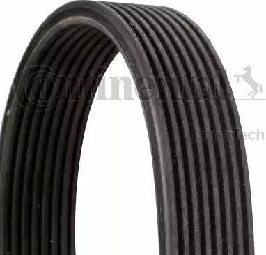 CONTINENTAL 8DPK1827 - Curea transmisie cu caneluri - allinparts.ro