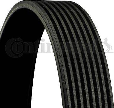 CONTINENTAL 8PK1560 - Curea transmisie cu caneluri allinparts.ro