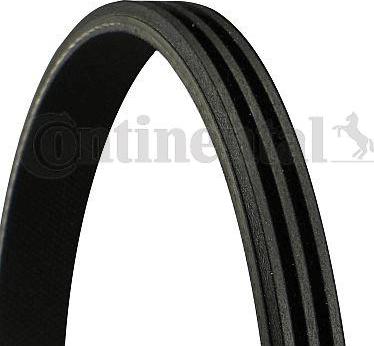 CONTINENTAL 3PK800 - Curea transmisie cu caneluri allinparts.ro