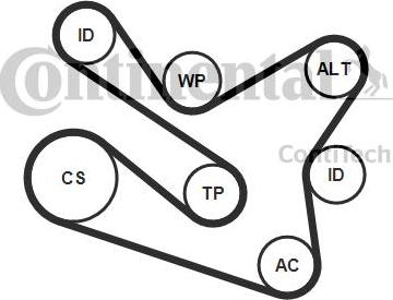 CONTINENTAL 7 PK 1570 K1 - Set curea transmisie cu caneluri allinparts.ro