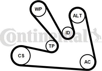 CONTINENTAL 7PK1687WP1 - Pompa apa + Set curea transmisie cu caneluri - allinparts.ro