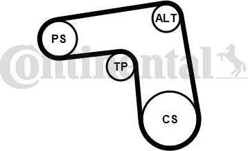 CONTINENTAL 7PK1076K1 - Set curea transmisie cu caneluri - allinparts.ro
