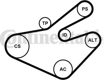 CONTINENTAL 7PK1795WP1 - Pompa apa + Set curea transmisie cu caneluri - allinparts.ro