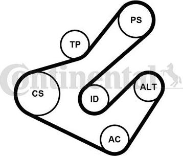 CONTINENTAL 7PK1795K2 - Set curea transmisie cu caneluri allinparts.ro