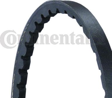CONTINENTAL AVX10X825 - Curea transmisie - allinparts.ro