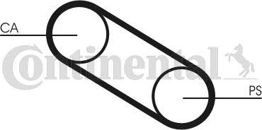 CONTINENTAL CT667 - Curea de distributie - allinparts.ro