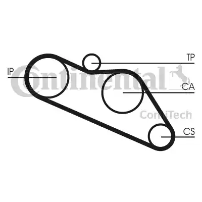 CONTINENTAL CT612 - Curea de distributie - allinparts.ro