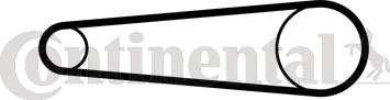 CONTINENTAL CT1158 - Curea de distributie allinparts.ro