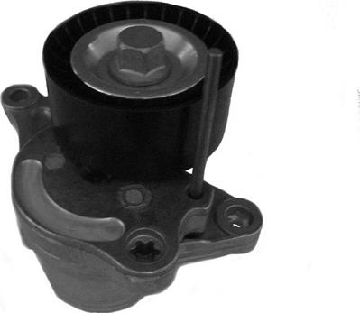 CORAM CT1056 - Intinzator curea, curea distributie allinparts.ro