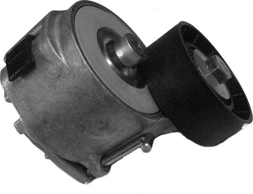 CORAM CT1002 - Intinzator curea, curea distributie - allinparts.ro