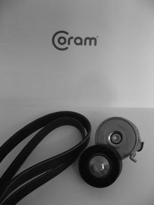 CORAM KTC987.1022 - Set curea transmisie cu caneluri - allinparts.ro