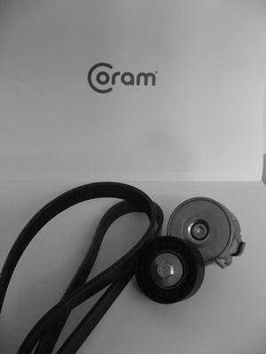CORAM KTC987.8022 - Set curea transmisie cu caneluri - allinparts.ro