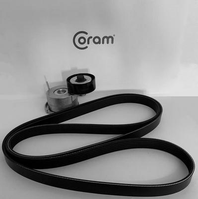 CORAM KTC1010 - Set curea transmisie cu caneluri allinparts.ro