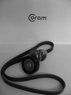 CORAM KTC1012 - Set curea transmisie cu caneluri - allinparts.ro