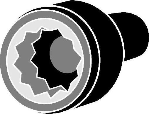 Corteco 49123293 - Set surub, chiulasa - allinparts.ro