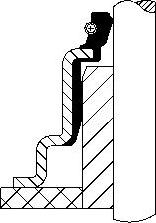 Corteco 12030152 - Etansare, supape - allinparts.ro