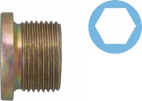 Corteco 220107S - Surub de golire,baia de ulei allinparts.ro