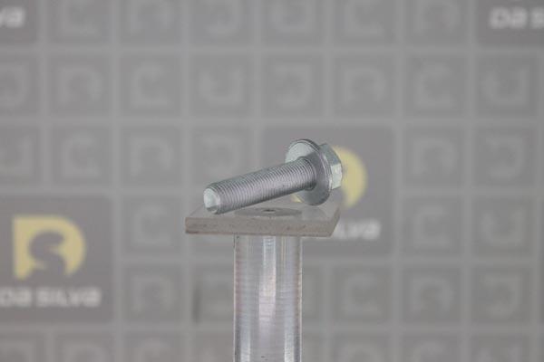 DA SILVA PLK034 - Set surub, disc curea-arbore cotit - allinparts.ro