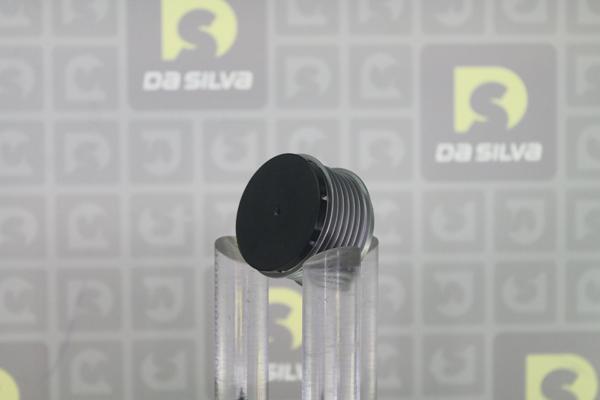 DA SILVA PRL171 - Fulie, alternator - allinparts.ro