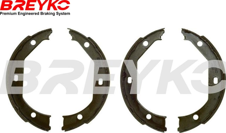 DAVID VASCO W8656 - Set saboti frana allinparts.ro