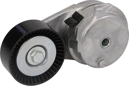 DAYCO APV2959 - Intinzator curea, curea distributie allinparts.ro
