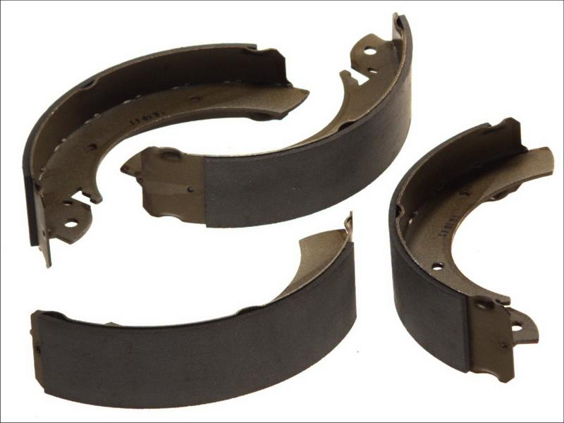 Delphi LS1179 - Set saboti frana allinparts.ro