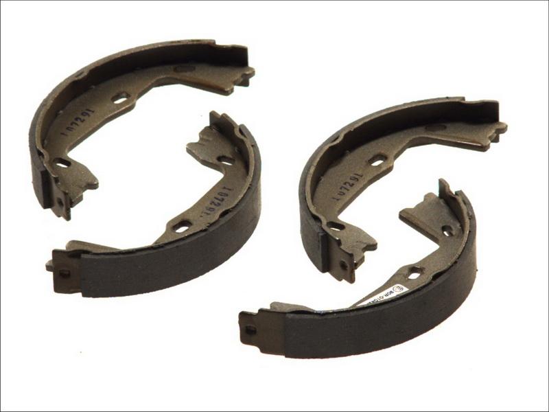 Delphi LS1381 - Set saboti frana, frana de mana allinparts.ro