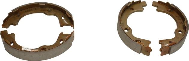 Delphi LS2012 - Set saboti frana, frana de mana allinparts.ro