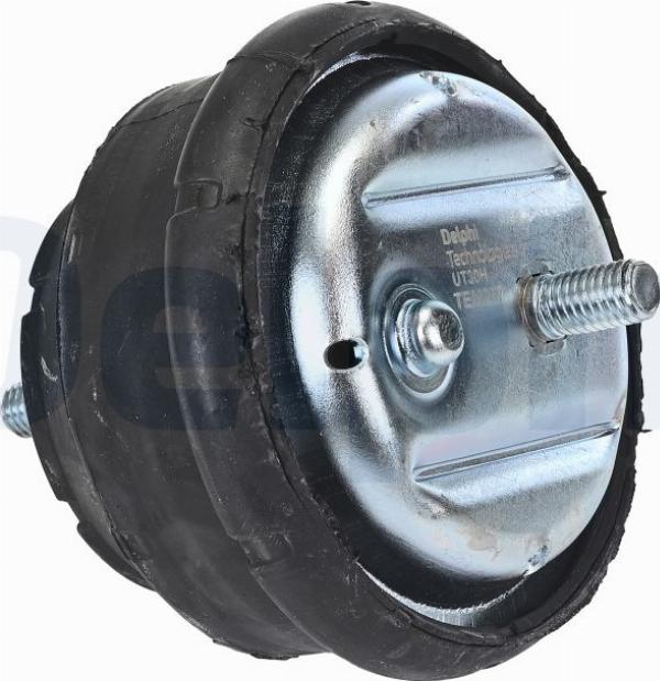 Delphi TEM257 - Suport motor - allinparts.ro