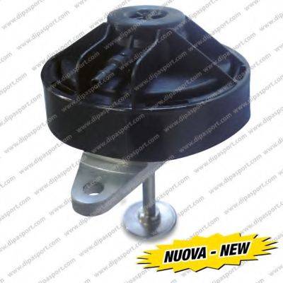 Dipasport EGR008N - Supapa EGR - allinparts.ro