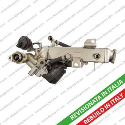 Dipasport EGR285R - Carcasa clapeta - allinparts.ro