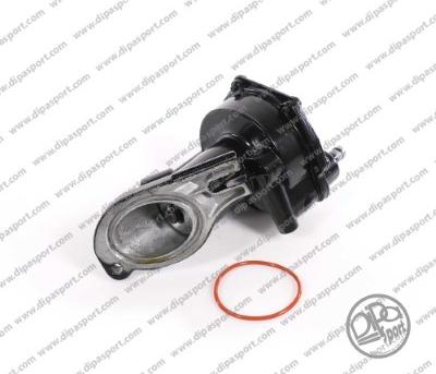 Dipasport PAV136PRBN - Pompa vacuum,sistem de franare allinparts.ro