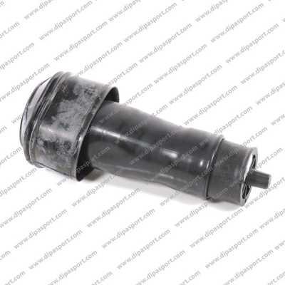Dipasport SSA010DPSN - Arc pneumatic, directie allinparts.ro