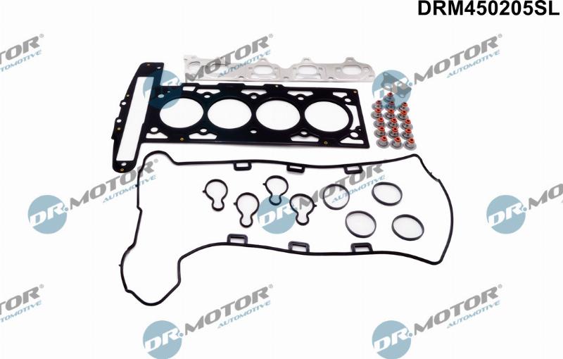 Dr.Motor Automotive DRM450205SL - Set garnituri, chiulasa allinparts.ro