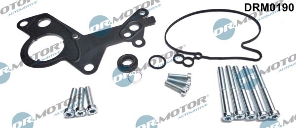 Dr.Motor Automotive DRM0190 - Set reparatie, pompa vacuum (Siste frana) - allinparts.ro