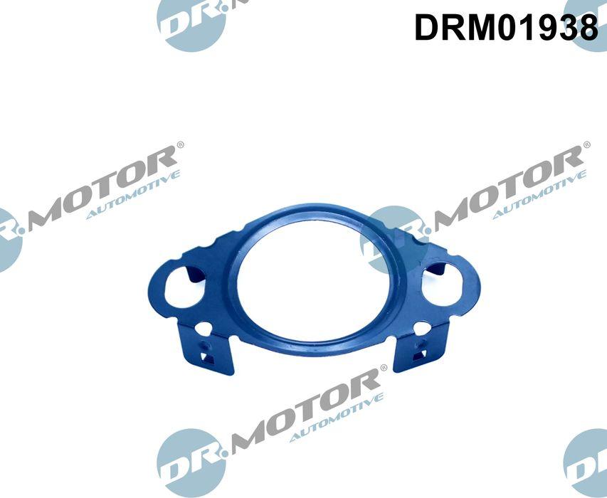 Dr.Motor Automotive DRM01938 - Garnitura, conducta supapa-AGR allinparts.ro