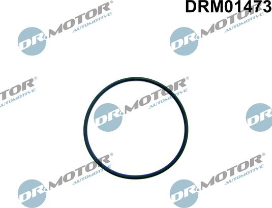 Dr.Motor Automotive DRM01473 - Garnitura, pompa combustibil allinparts.ro